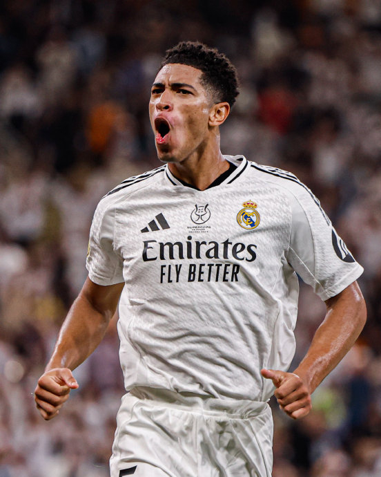 前11轮超350万人次现场观赛，本赛季意甲观赛数据创近30年新高（意甲本季观赛热度飙至近30年新高：前11轮现场观众突破350万）